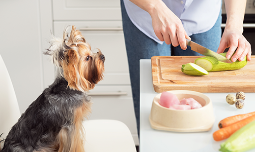 공지사항이미지2