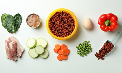 공지사항이미지2