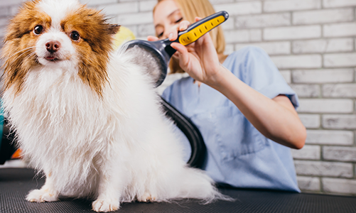 공지사항이미지3